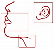 Praxis für Logopädie Zilan Holtmann